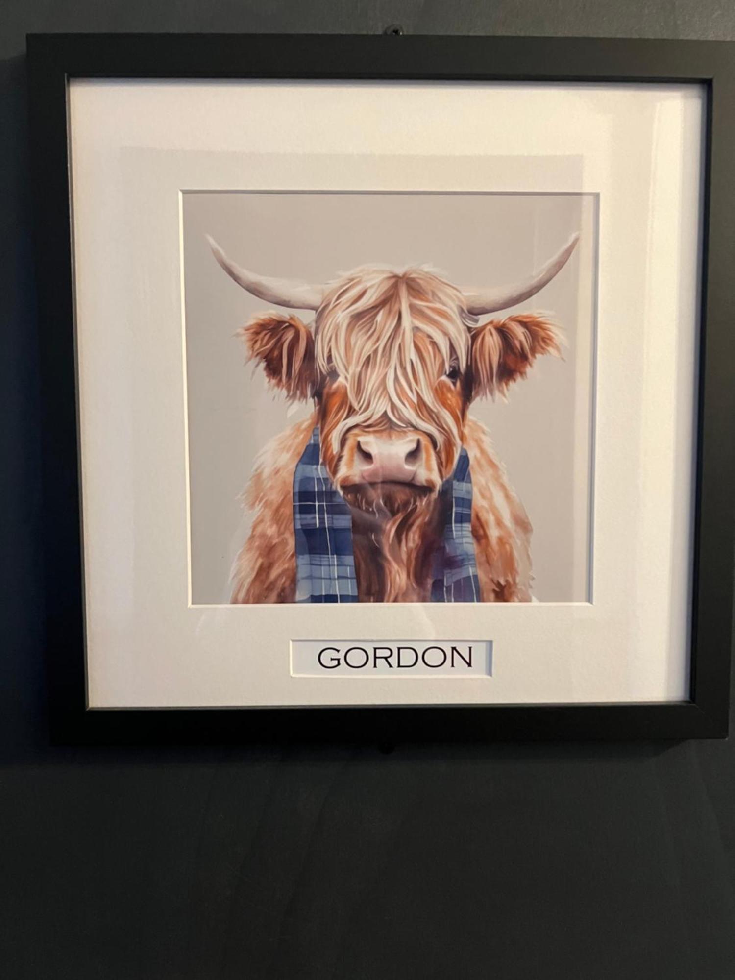 'Gordon' In Allandale Aparthotel アウキテラーダー エクステリア 写真